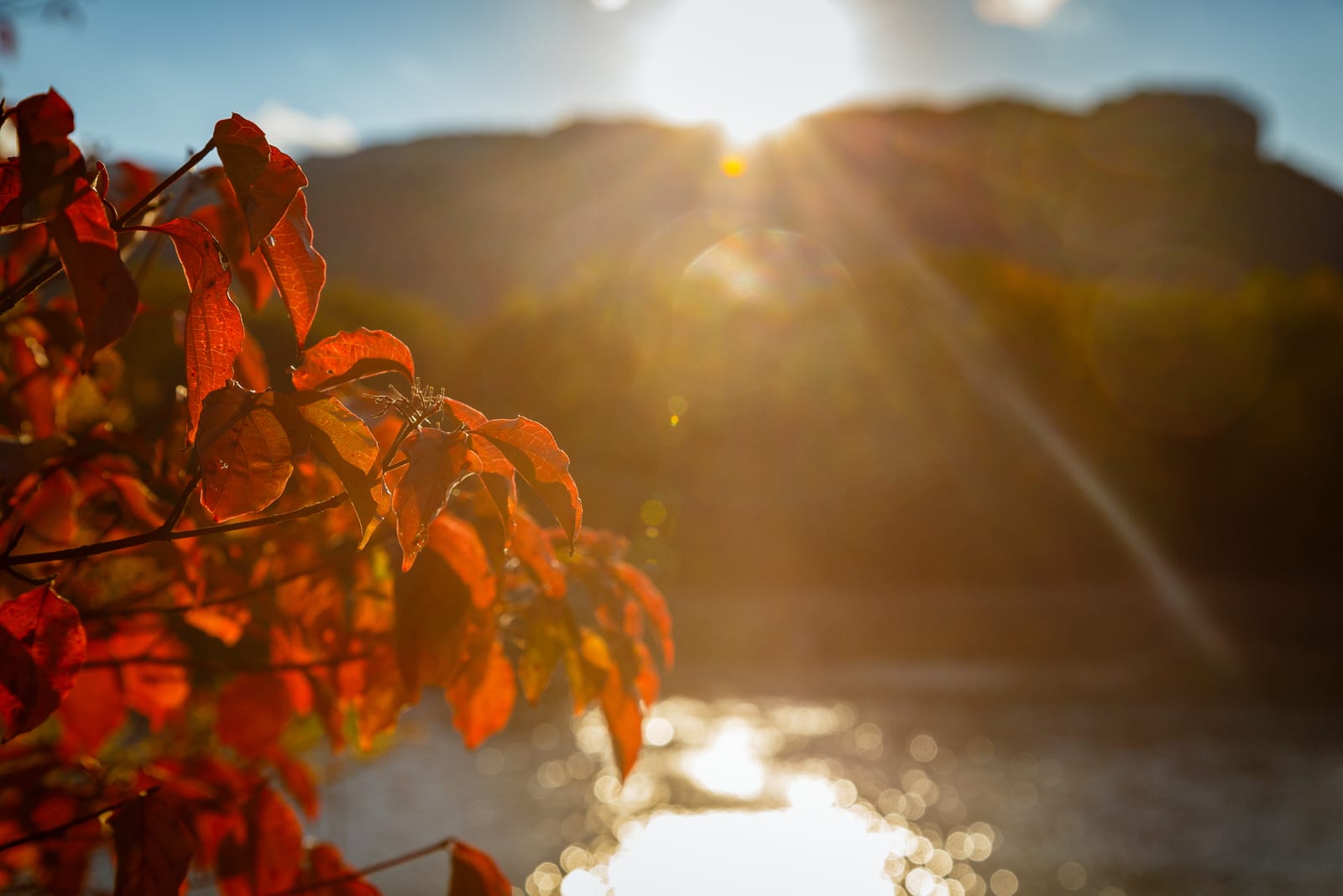 Image source: Envato Elements