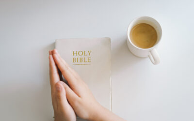 もしクリスチャンが罪を犯すなら – 神の赦しと交わりの回復の道 – 初信者ｼﾘｰｽﾞ12