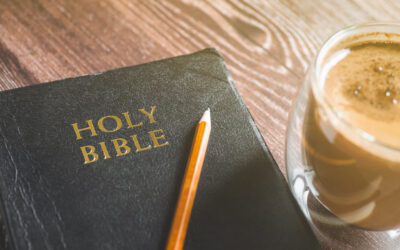 どのようにして聖書を読むか？- 四つの基本原則と実践的ガイド – 初信者ｼﾘｰｽﾞ 7