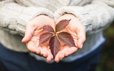 クリスチャンとお金 – 金銭の取り扱い – 初信者ｼﾘｰｽﾞ22