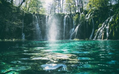 信じてから受けるべきでは?ー聖書的なバプテスマの回復